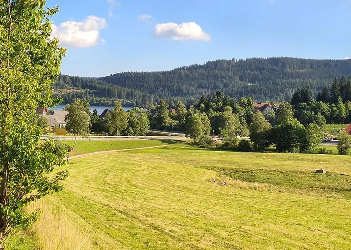 Schluchseezauber 1123 - Alm Chic Mit Pool & Sauna * Schluchsee