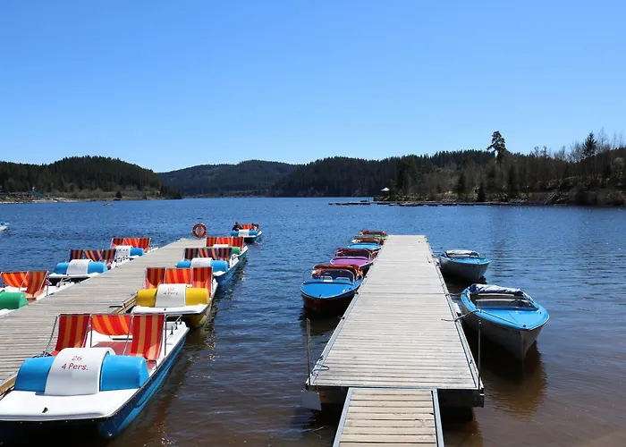 Schluchseezauber 1123 - Alm Chic Mit Pool & Sauna Schluchsee