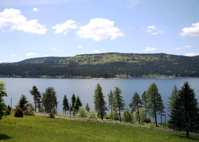 Schluchseezauber 1123 - Alm Chic Mit Pool & Sauna Appartement *